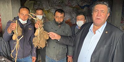 Gürer: “Patates üreticisi ‘Yandım’ diye feryat ediyor”