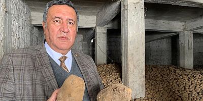 Gürer: “Patates üreticisinin uğradığı zarar karşılanmalı”