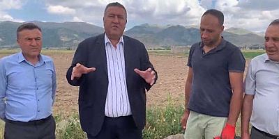 Gürer:  “Patatesin iki kaybedeni üretici ve tüketici”