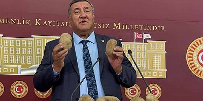 Gürer: Patateste kriz çözülebilir