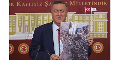 Gürer: “Patateste sorun bitmiyor”