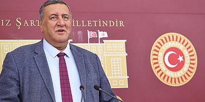 Gürer: “Pestisit ile dünyada her yıl 385 milyon kişi zarar görüyor”