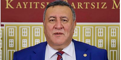 Gürer:  “Sağlıkta şiddet akıl tutulması”