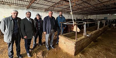 Gürer: “Şap Hastalığı Hayvancılığı Vuruyor!”