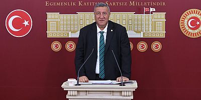 Gürer: “ ‘Şap; hayvan ölümü, et ve süt kaybına neden oluyor”
