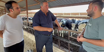 Gürer: “Şap salgını hayvancılığı vurdu”