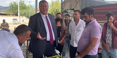 Gürer: “Sebze üreticisi de dertli”