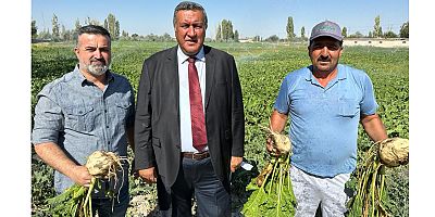 Gürer: Şeker fiyatları artıyor, taban fiyat belirsiz