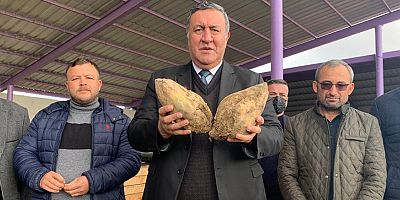 Gürer: “Şeker İthalatı Çiftçiye zarar”