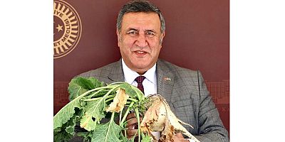 Gürer: “Şeker ithalatında kimlere vurgun kapısı açılacak?”