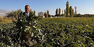 Gürer: “Şeker Pancarı Üreticisi Mağdur, Beklenen Fiyat Verilmedi”