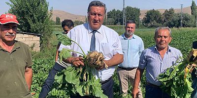 Gürer: “Şekerde karakış geliyor”