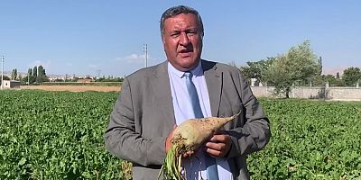 GÜRER: “Şekerpancarı alım fiyatı çiftçiyi mutlu etmedi”