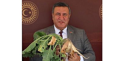 Gürer: “Şekerpancarı  taban fiyatı üreticide hayal kırıklığı yarattı”