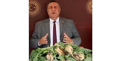 Gürer; şekerpancarı üretimin düşmesini Meclis gündemine taşıdı
