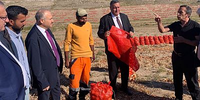 Gürer: “Soğan tarlada 60 kuruşa bile alıcı bulmuyor”