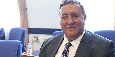 Gürer: “Sokak hayvanlarının öldürülmesine karşıyız”