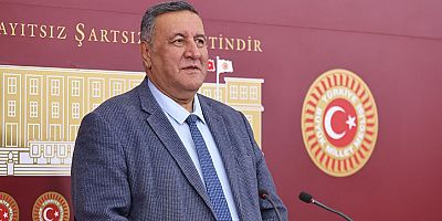 Gürer: “Son 5 yılın verileri iklim krizinin etkisinin derinleştiğinin gösteriyor”