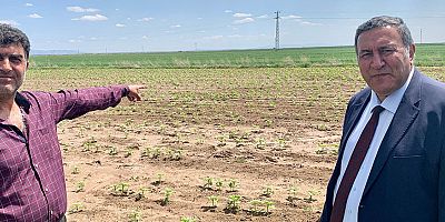 Gürer: “Su kaynaklarını gözümüz gibi korumalıyız”