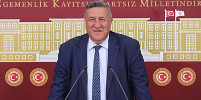 Gürer: “Suça sürüklenen çocuk sayısında dikkat çeken artış var”