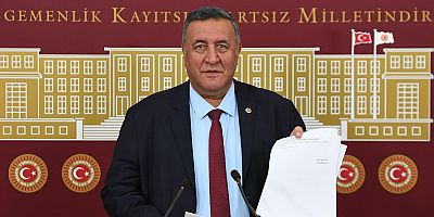 Gürer: “Süt ineği sayısı azalıyor”