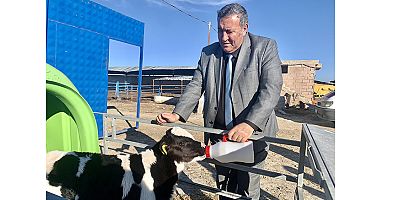 Gürer: Süt inekleri kesilirken süt tozu ithal edildi