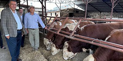 Gürer: “Süt tavsiye fiyatı uygulanmadan yeme ve raftaki süte zam geliyor”