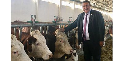 Gürer “Süt üreticisi diken üzerinde”