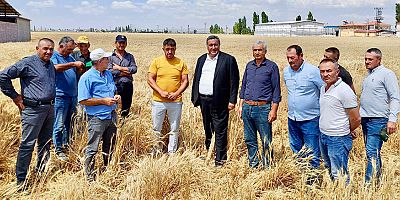 Gürer: “Tahıl ürünlerinde üretim düşüyor”