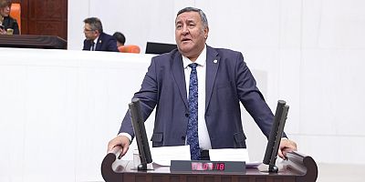 Gürer: “Tarımda Destekler Yetersiz”