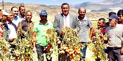 Gürer: “Tarımda eski hamam eski tas”