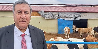 Gürer: “Tarımda Plansızlık