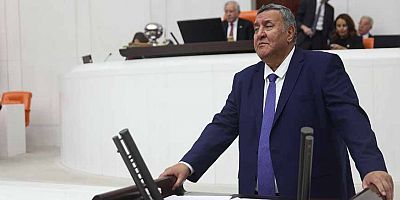 Gürer: “Tarımda sorunlar derinleşiyor”
