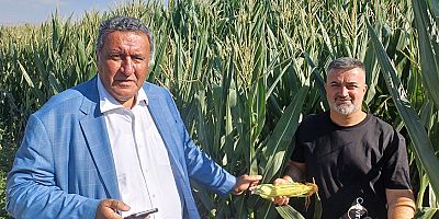 Gürer: “Tarımsal atıklar yakıta dönüştürülmelidir”