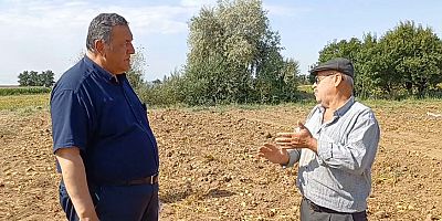 Gürer: “Tarlada ziyan, çiftçide isyan”