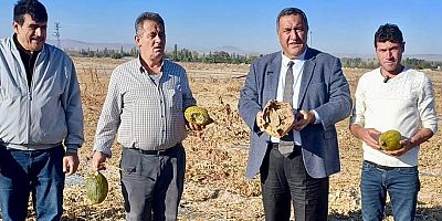 Gürer: “Tarlalar doldu