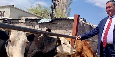 Gürer: “TİGEM hayvancılıkta sınıfta kaldı”