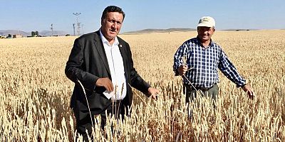 Gürer: “TMO 15 Eylül’de 500 bin ton daha buğday ithal ediyor” 