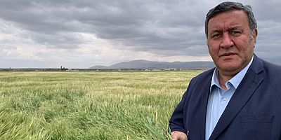 Gürer: “TMO, arpada, yerli üreticiye 1750 lira, yabancı üreticiye 3 bin 180 lira ödüyor”