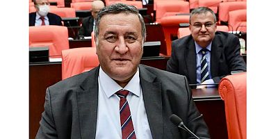 Gürer: “TMO’nun destek diye verdiği yemle inek değil ancak horoz beslenir”