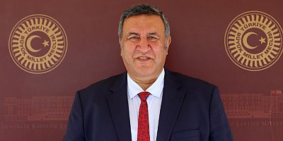 Gürer: “Tohumda karışıklık standartta uygun bulundu!”