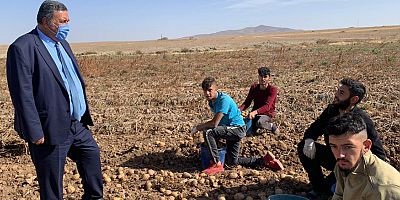 Gürer: “Tonlarca patates depolarda çürüyebilir!..”