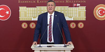 Gürer: “Toplulaştırma çalışmaları çok yavaş ilerliyor”