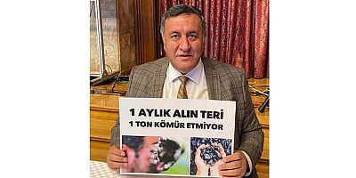 Gürer: “Türkiye’de çalışma hayatı sorunlarla dolu”