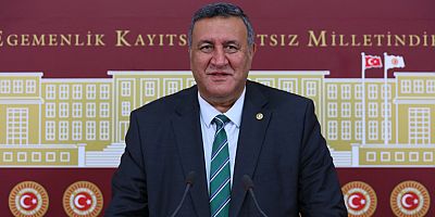 Gürer: “Türkiye’de doğan sığınmacıların sayısı bazı ülkelerinin nüfusundan fazla”