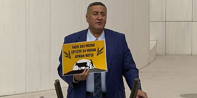 Gürer: “Türkiye et ve süt konusunda ciddi risk yaşayabilir”