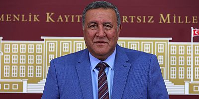 Gürer: Türkiye pestisiz bildirimlerinde dünya ikincisi