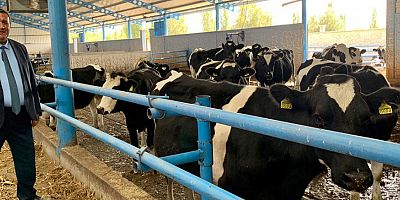 Gürer: “Ulusal Süt Konseyi yeniden toplanmalıdır”