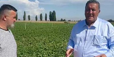 Gürer: “Üretemeyince ithalata sarıldık”