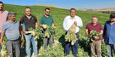 Gürer: “Üreten ve tüketene zor, aracı ve ithalatçıya göre iyi bir yıl geçti”